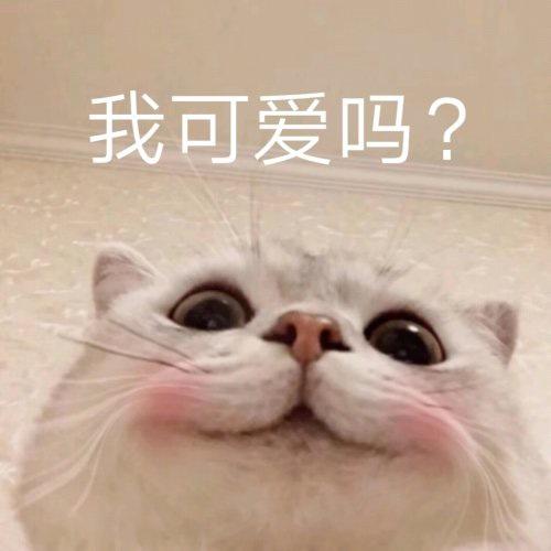 不能只是一只橙子