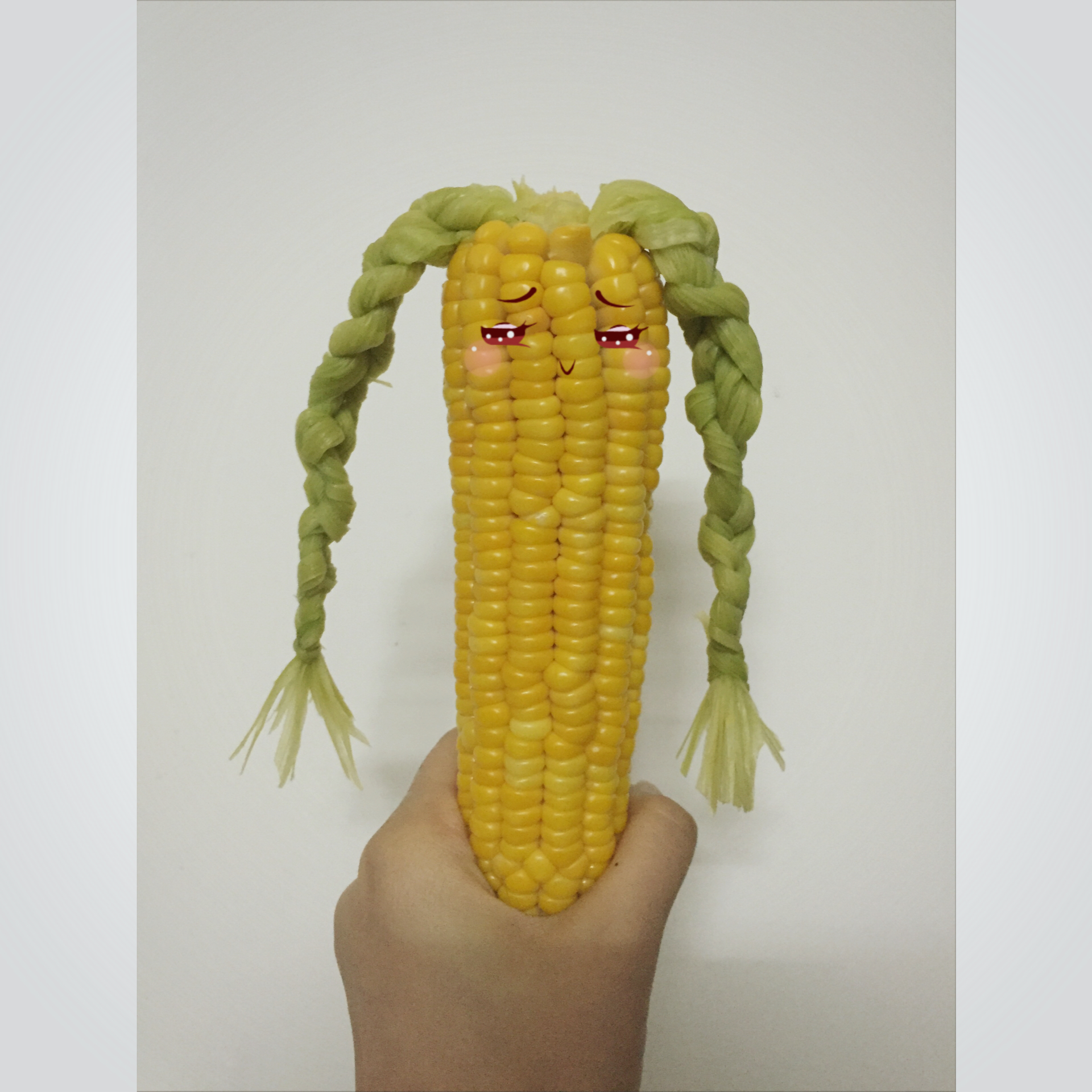 wingng做的辫子玉米君