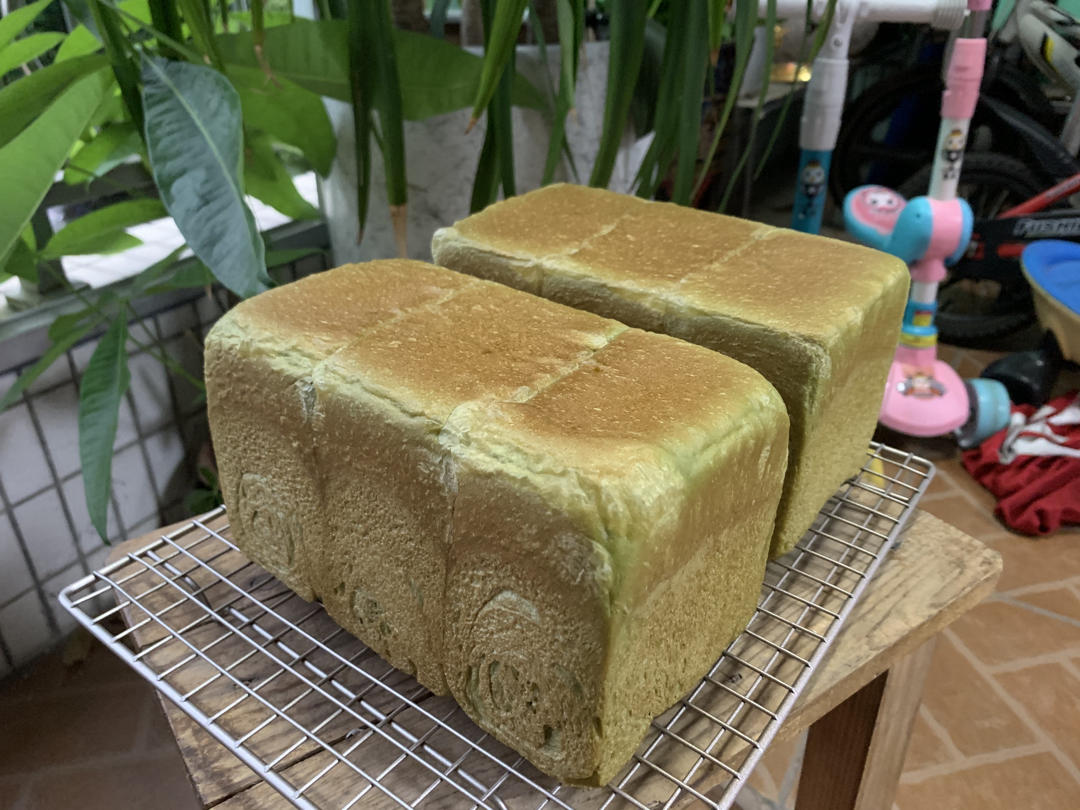 抹茶高級生吐司