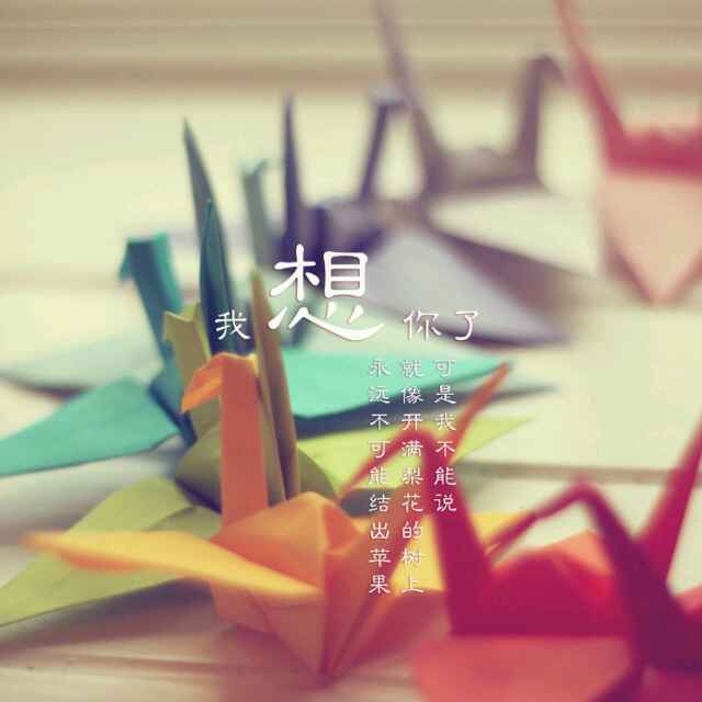 丸桃小瑛纸