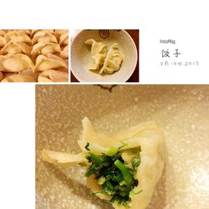 茴香肉馅饺子的做法 步骤3