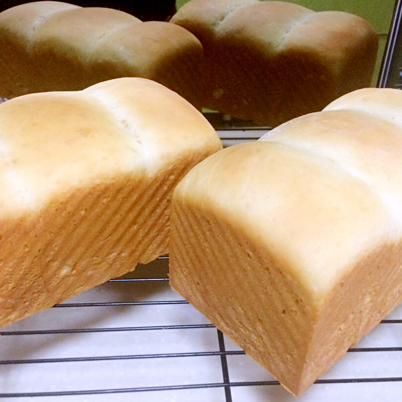 简简单单白吐司（玉米油）