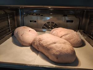 石榴干果软面包的做法 步骤12