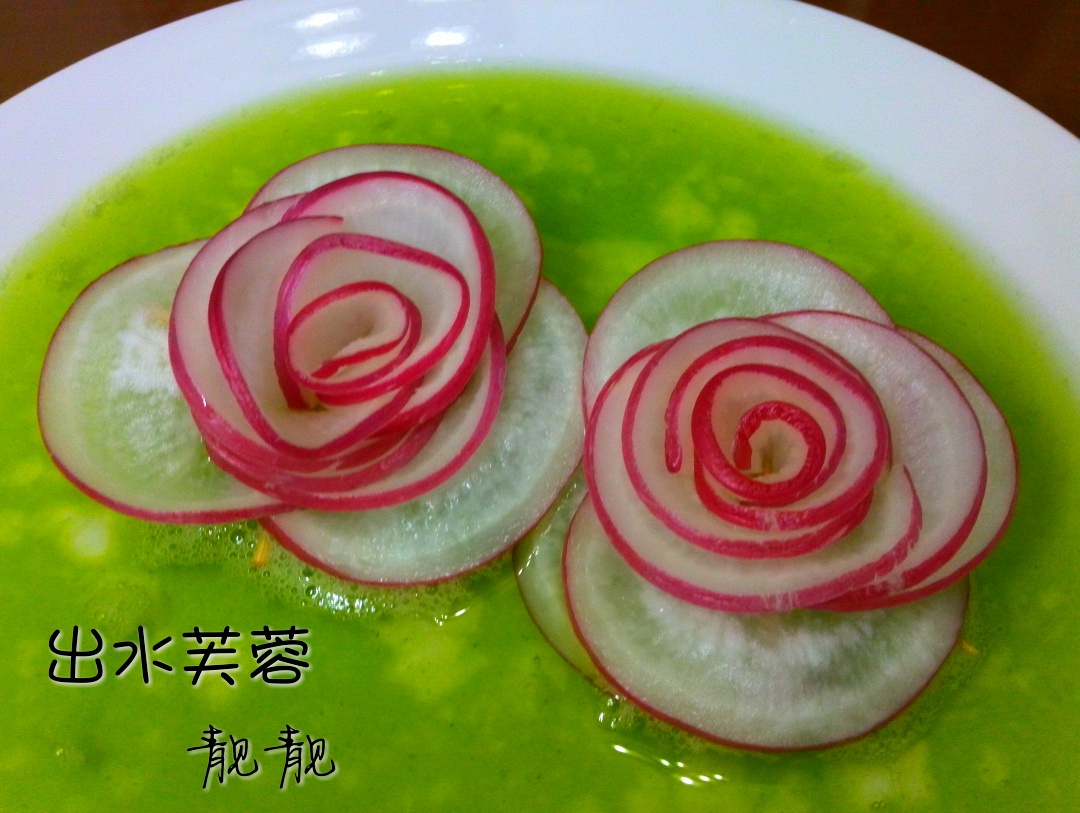 出水芙蓉－－萝卜花