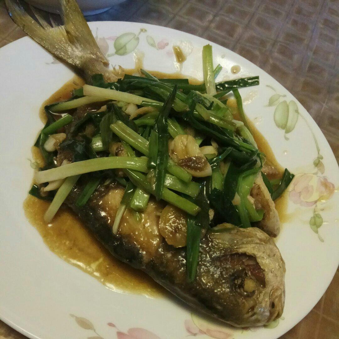 家常烧鱼