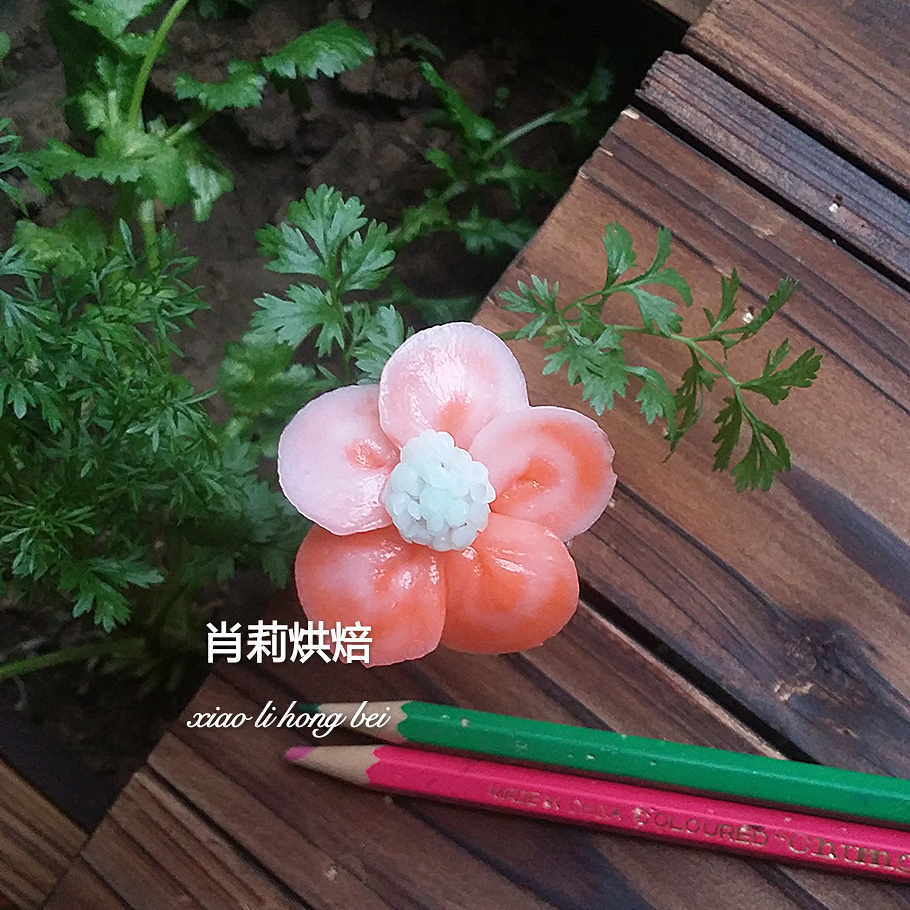 韩式裱花之一-- 五瓣花1