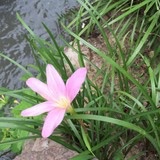 手机用户3557_雨儿