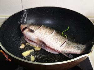 鲜美奶白的鲫鱼汤的做法 步骤3