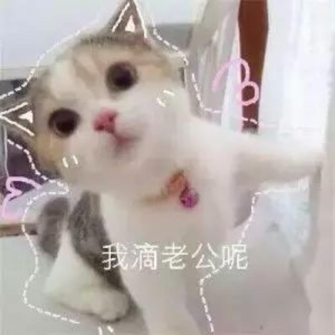 Hi我是芳芳