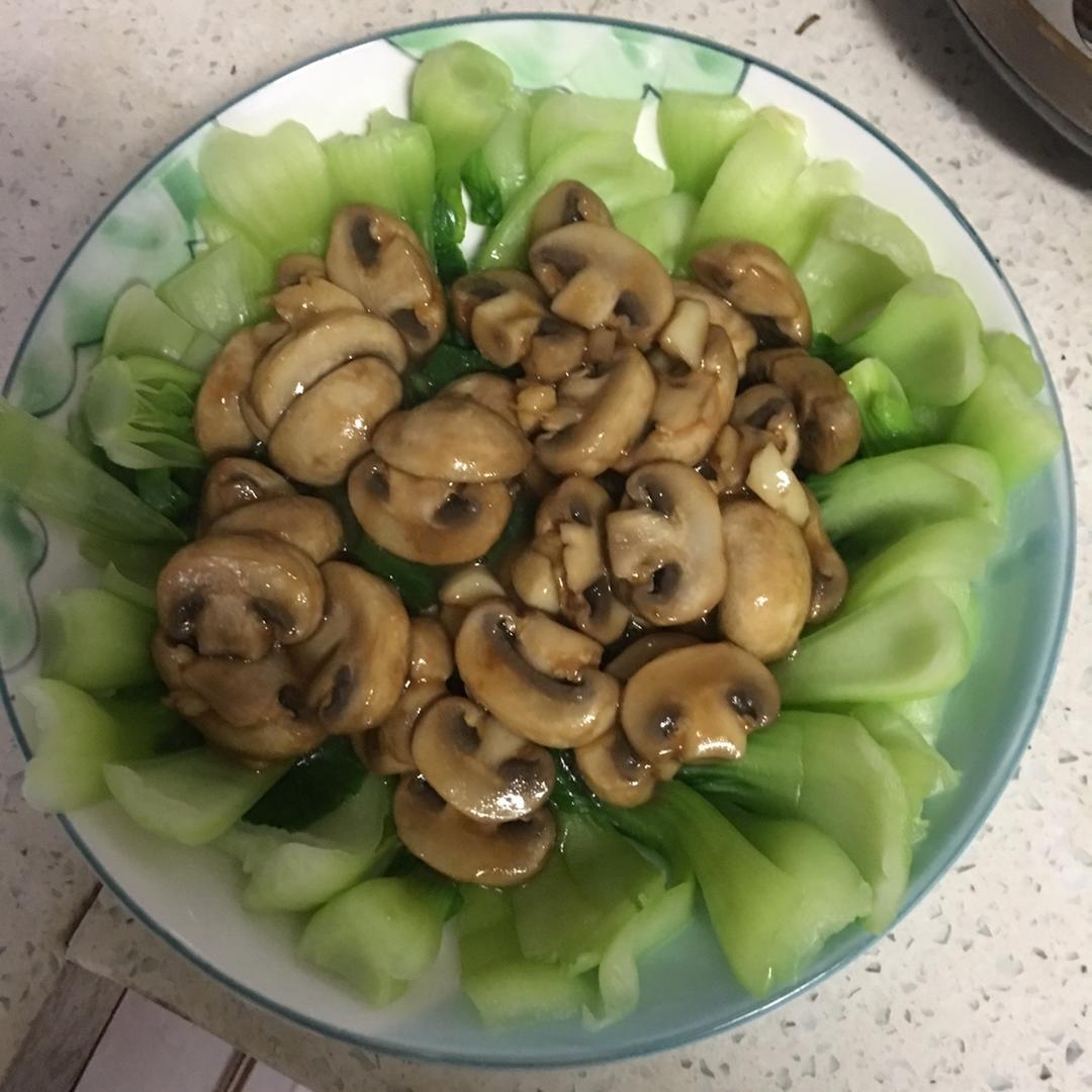 口蘑菜胆