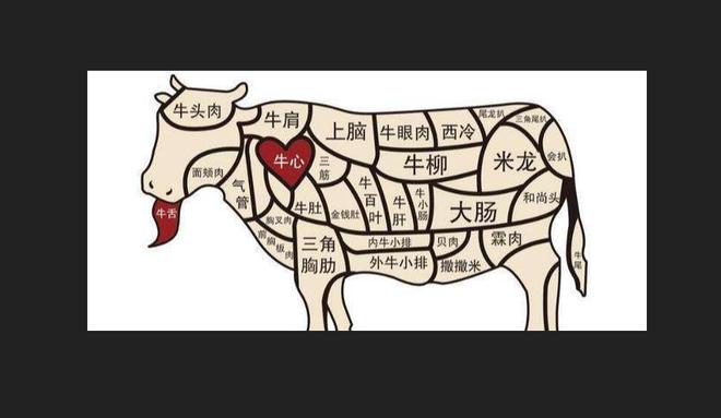 牛肉的部位图解与做法(来自度娘)的做法