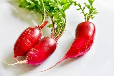 凉拌萝卜丝，清新爽口的下酒小菜