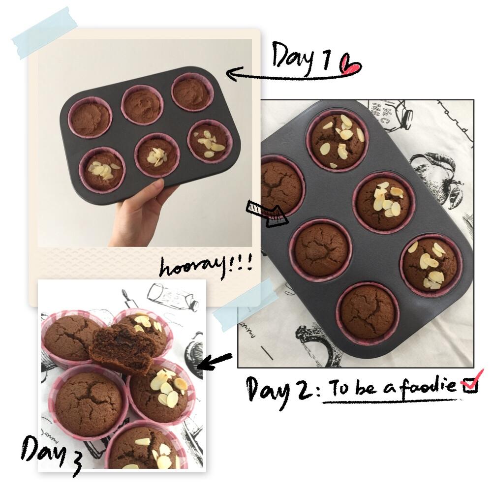 超润巧克力纸杯蛋糕（非常适合裱花、盖糖皮的cupcake方子）