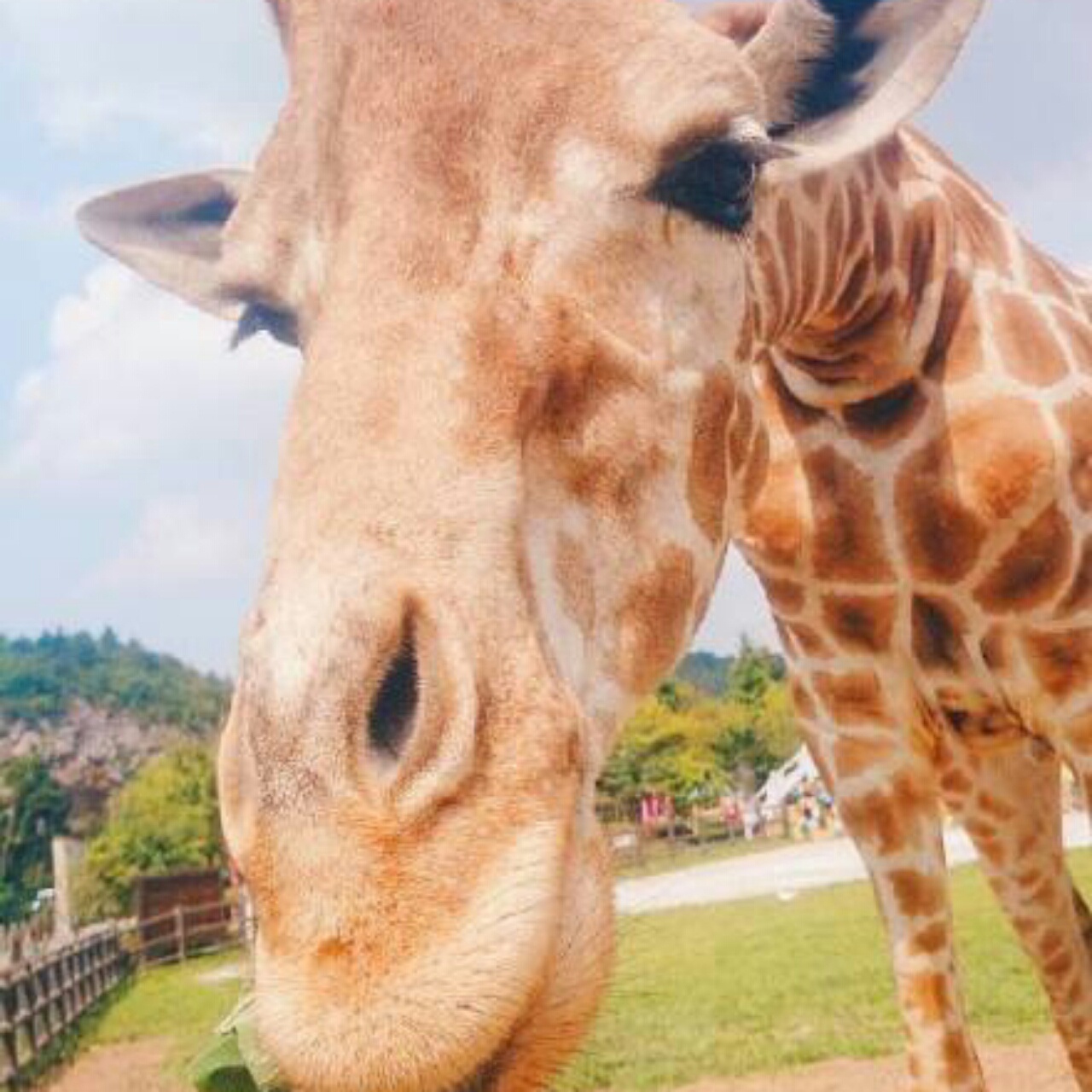 好了好了好了200903