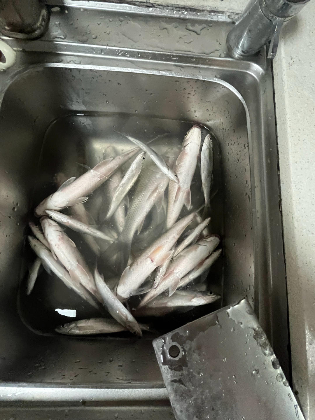 超下饭的豆豉鲫鱼！媲美豆豉鲮鱼罐头哦～