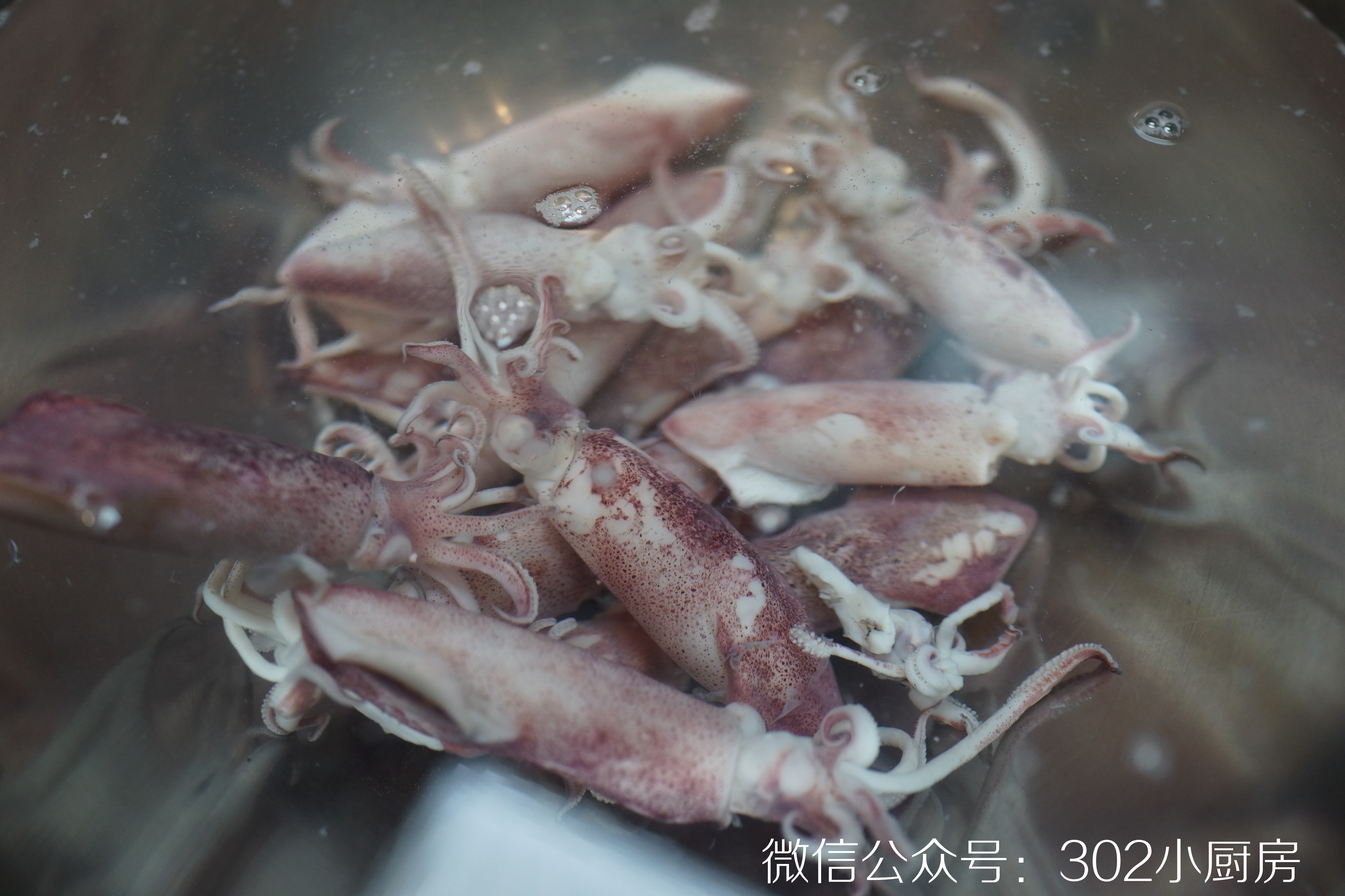 白灼小管鱿鱼（含香葱姜蓉料汁做法）<302小厨房>的做法 步骤10