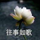鱼_q4zv