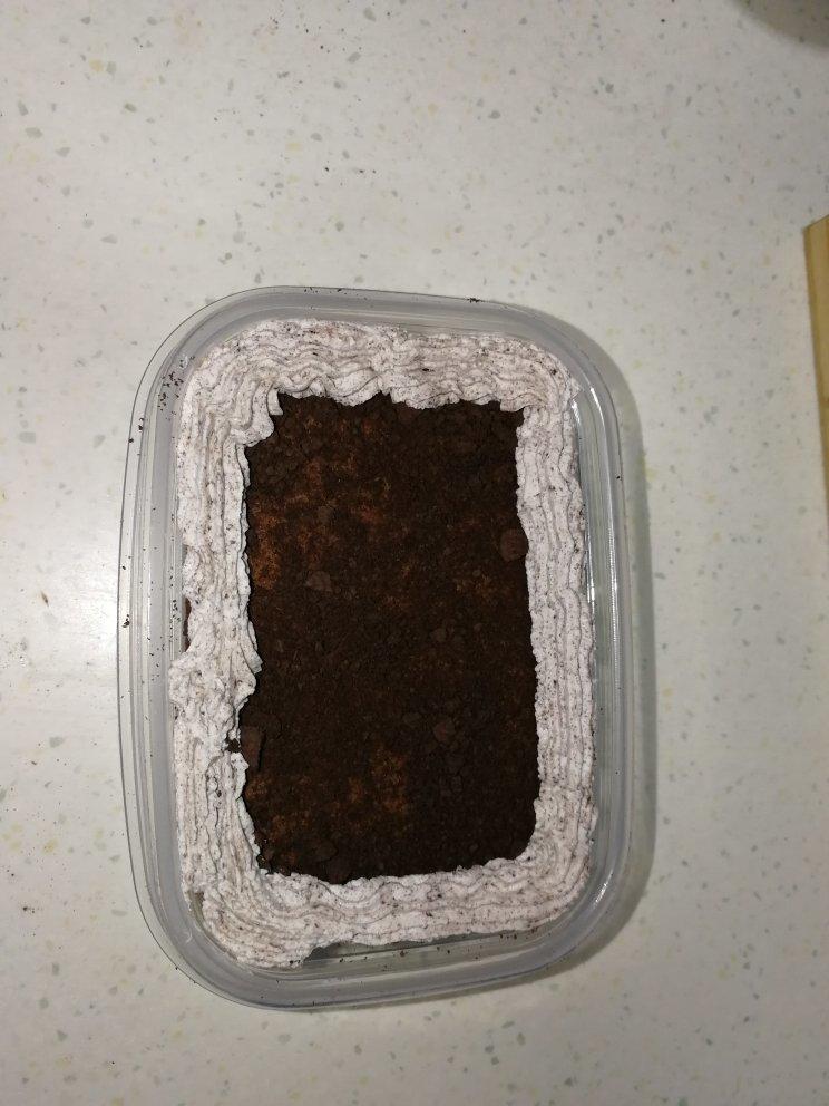 好吃到流泪的奥利奥咸奶油盒子蛋糕