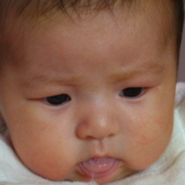 小小茉莉妈妈