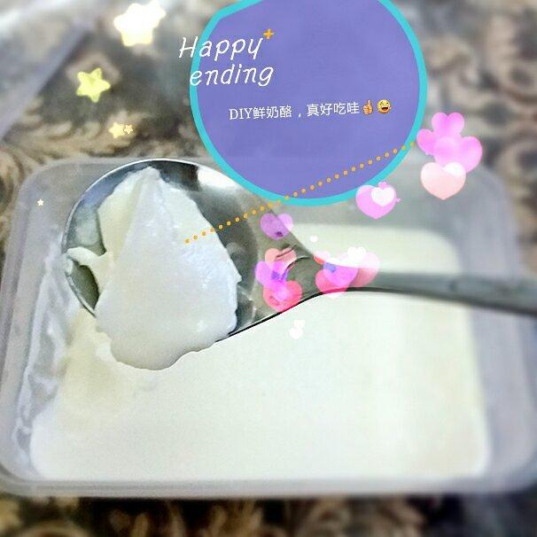 鲜奶酪(自己在家做着吃)