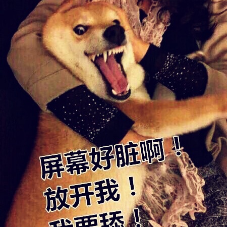 瓜瓜fung
