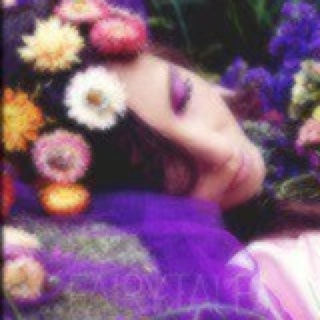 没有了叮当的喵