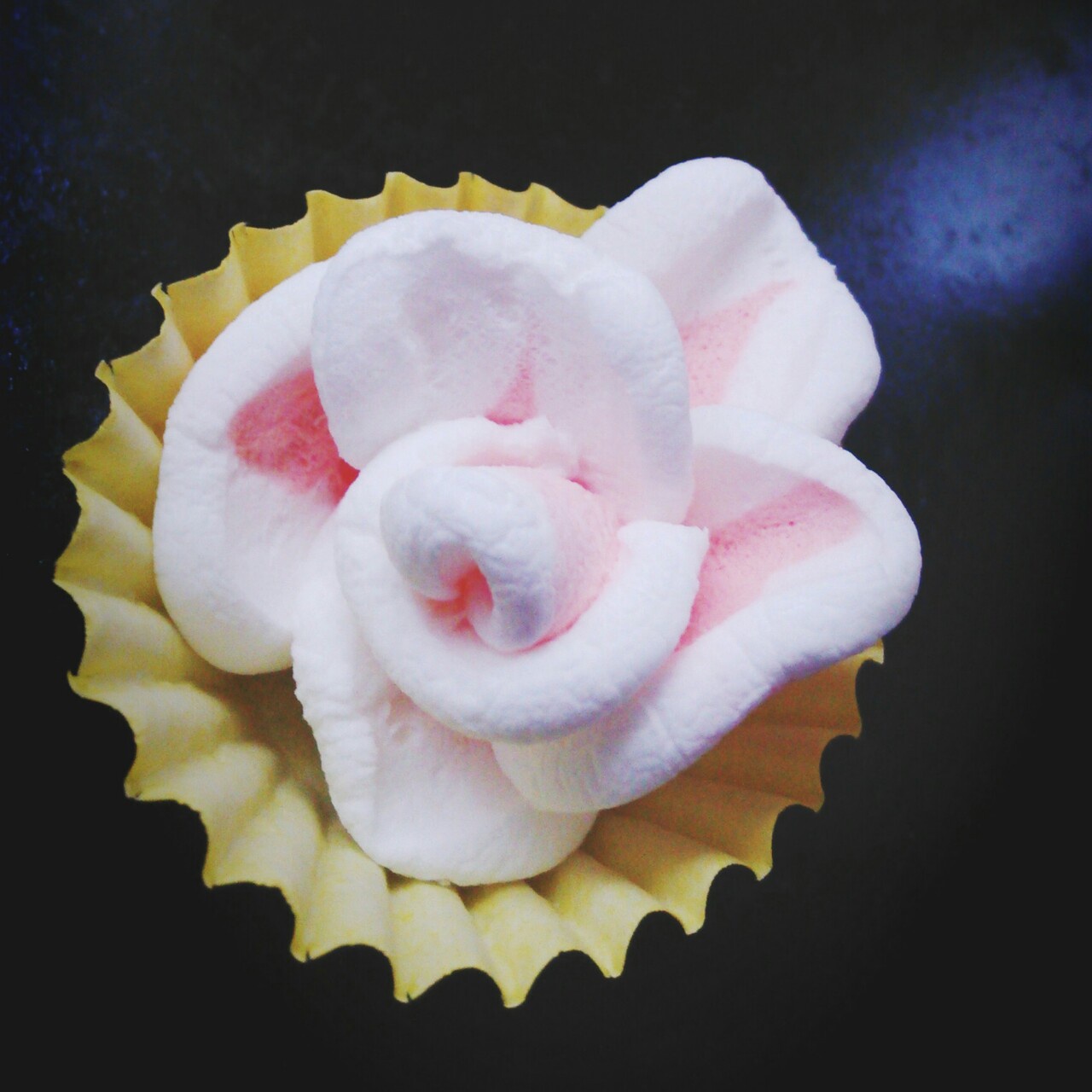 棉花糖玫瑰