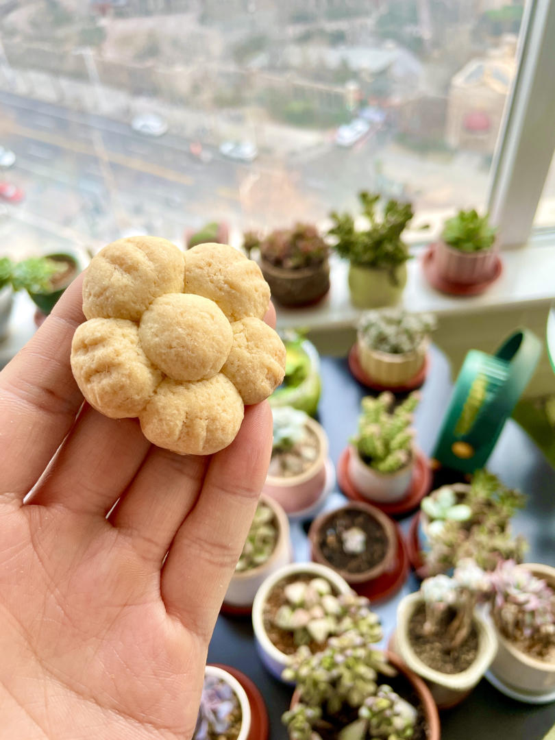 送你一朵小红花｜烘培小白也能搞定的花朵曲奇饼干