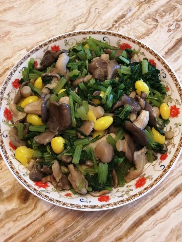 银杏金针菇汤（无油菜）