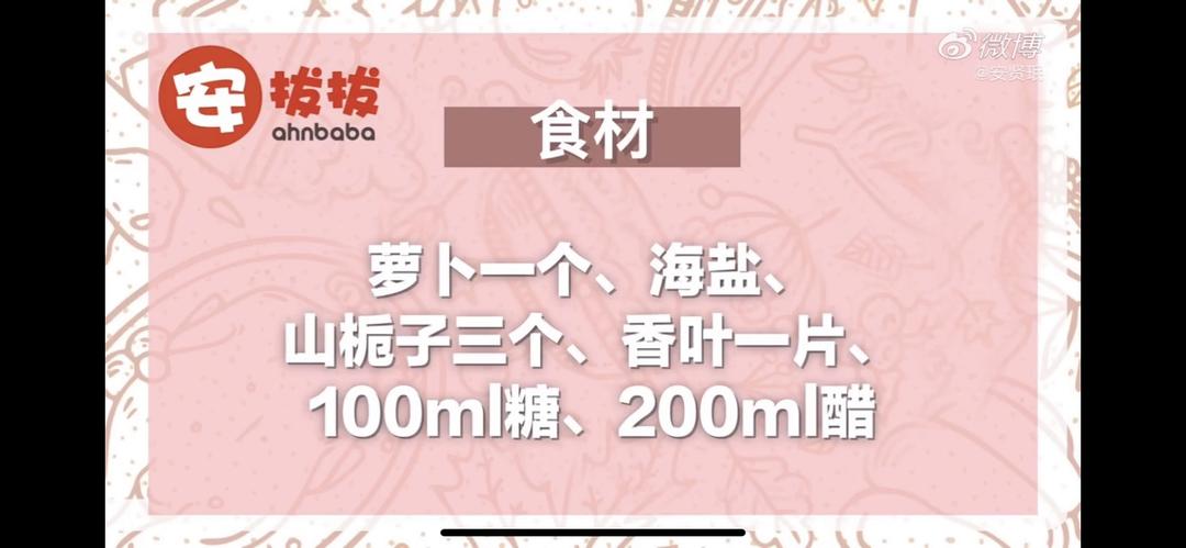 《拜托了冰箱》安老师的酸甜萝卜