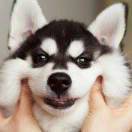 Gaoyw_
