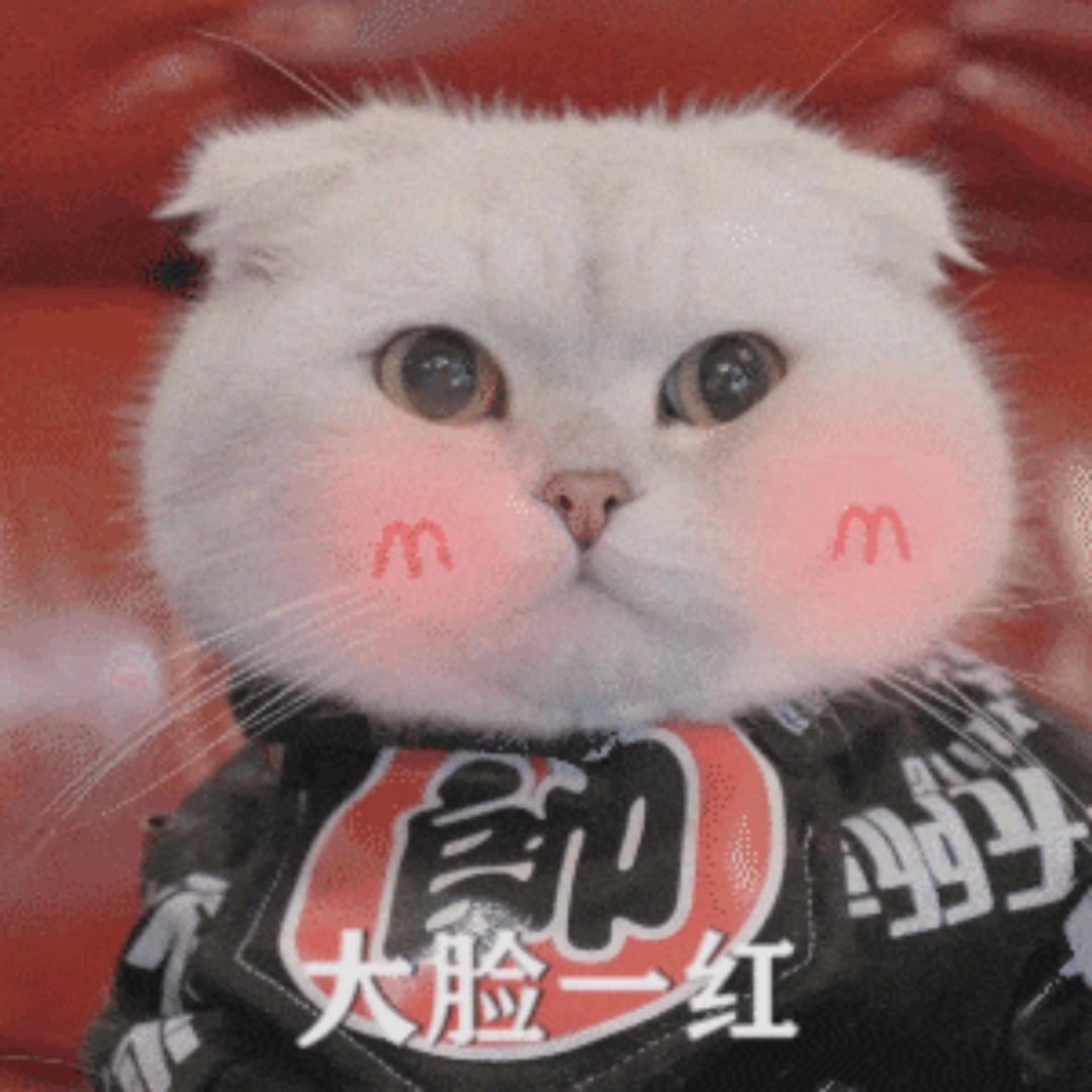 爱吃大碗小面