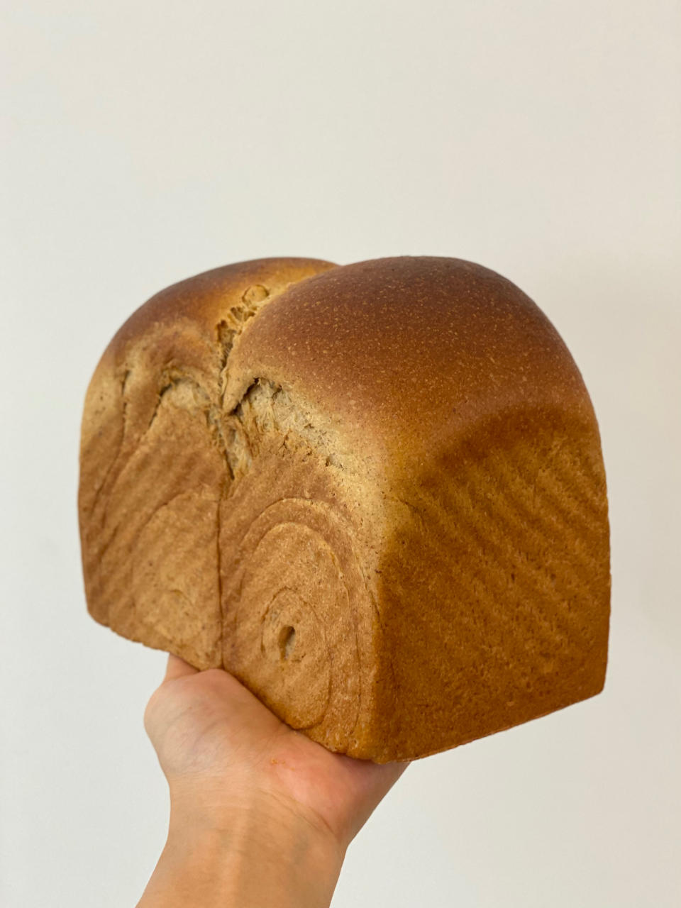 拿铁咖啡风味全麦吐司🍞疯狂消耗淡奶油‼️