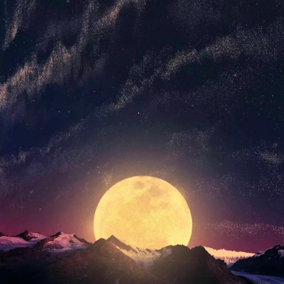 南巷清枫