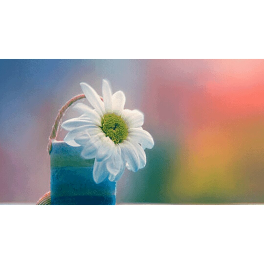 采蘑菇de筱菇凉