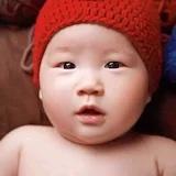 晶罗罗罗罗罗罗