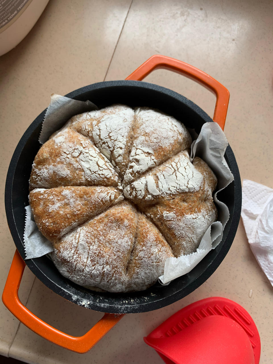 #100个欧包练习——免揉法式乡村面包