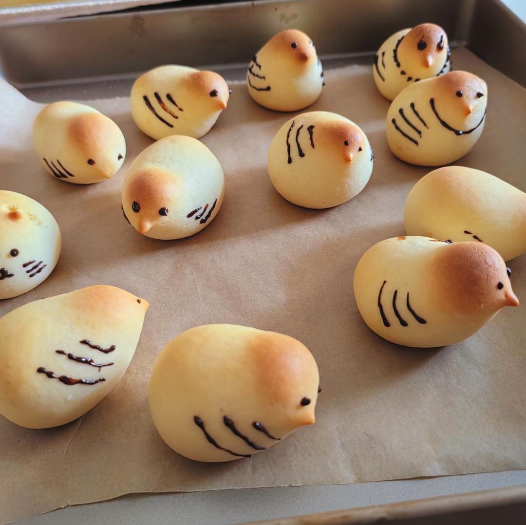 小鸡和果子🐣