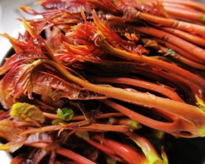 花姐 保存香椿的方法的做法步骤图 Hi花花姐 下厨房 花姐 保存香椿的方法的做法步骤图 Hi花花姐 下厨房