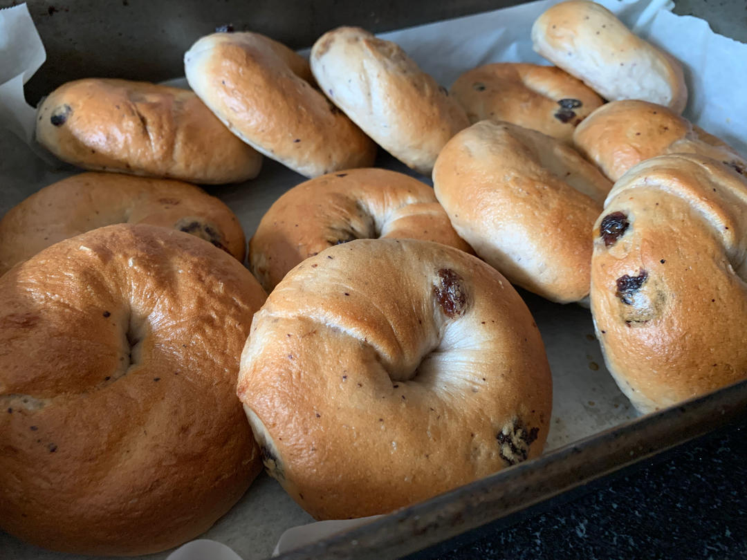 无油无糖【蓝莓贝果】面包初学者必备