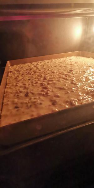 无糖低脂发酵燕麦饼的做法 步骤3