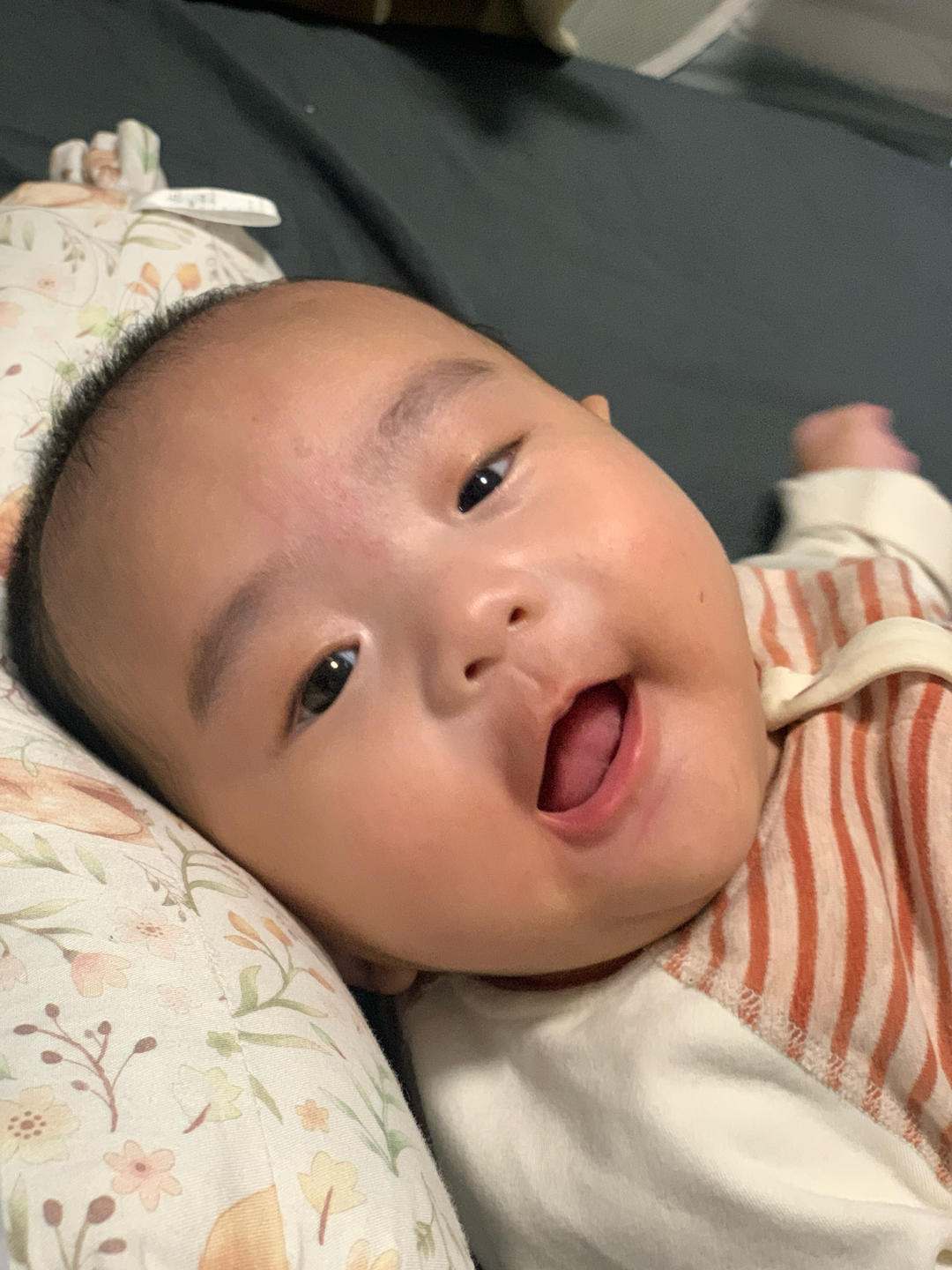 小树要好好吃饭