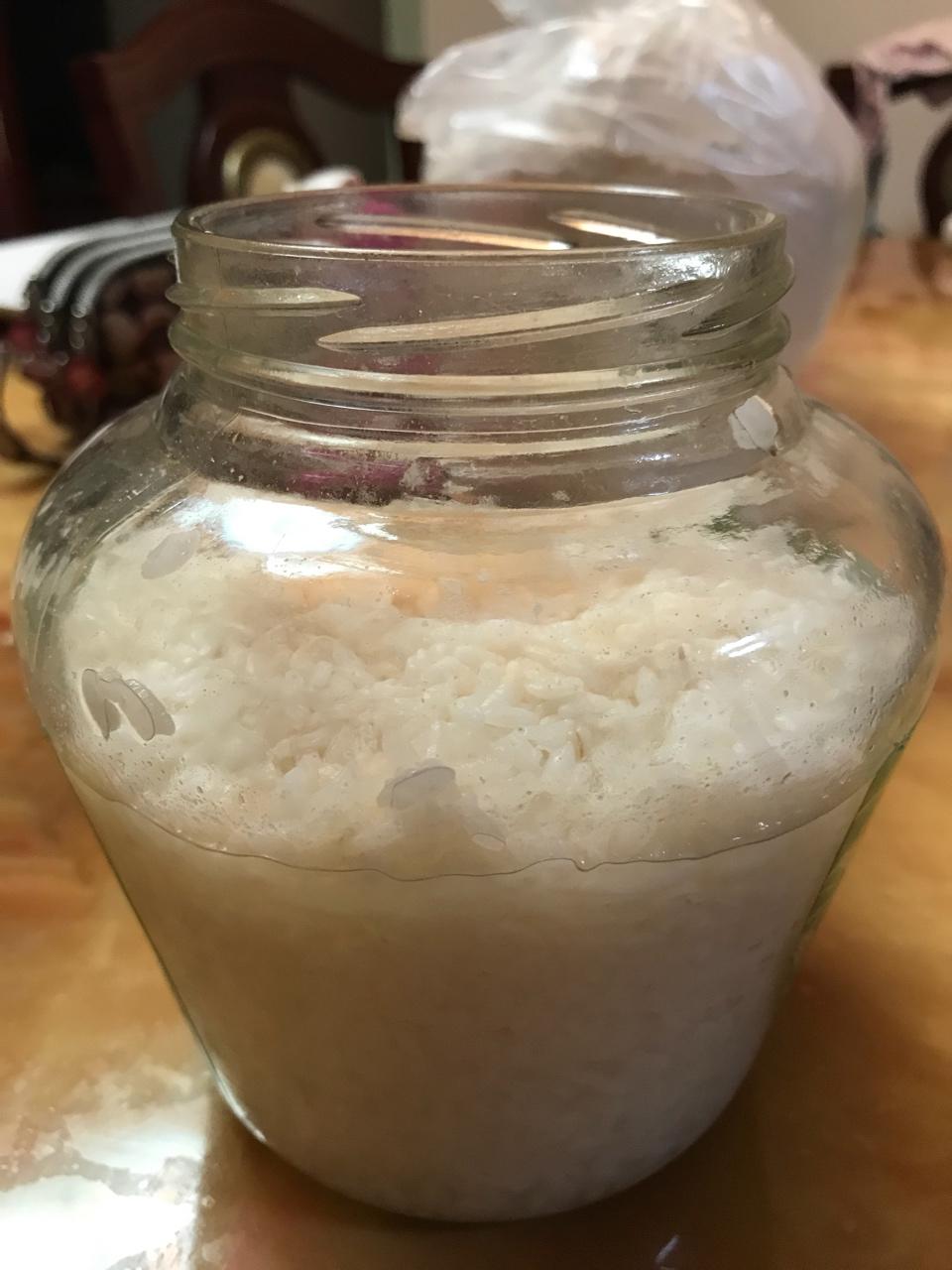 酒酿 (酒酿系列一）