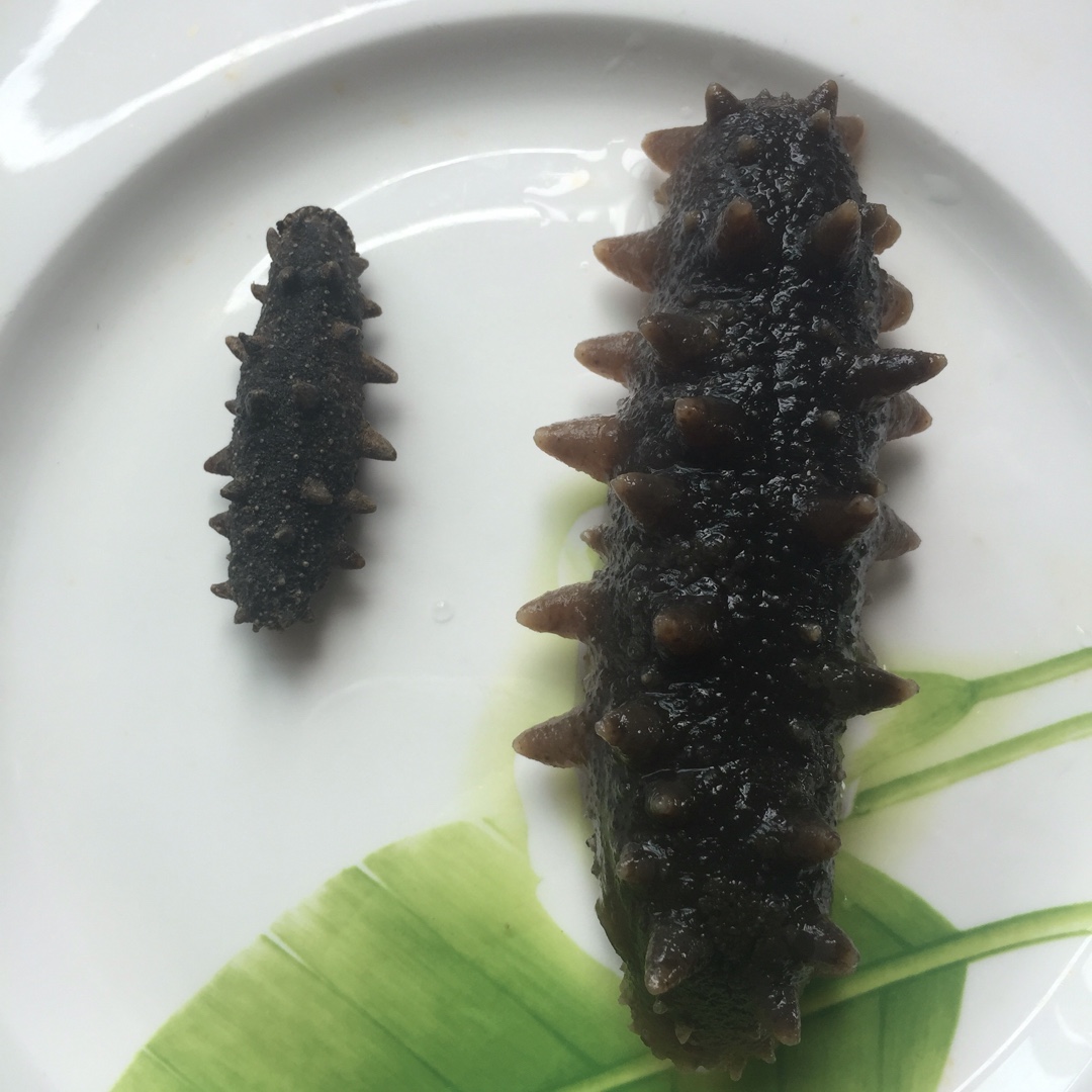 海参泡发攻略