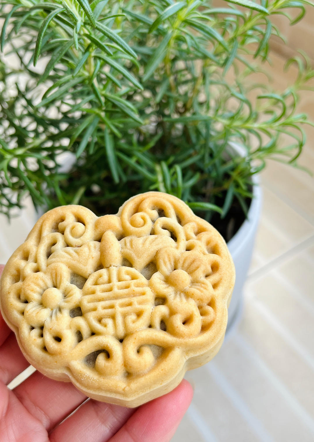 广式月饼—蛋黄莲蓉月饼