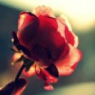 一首彤谣暖人心