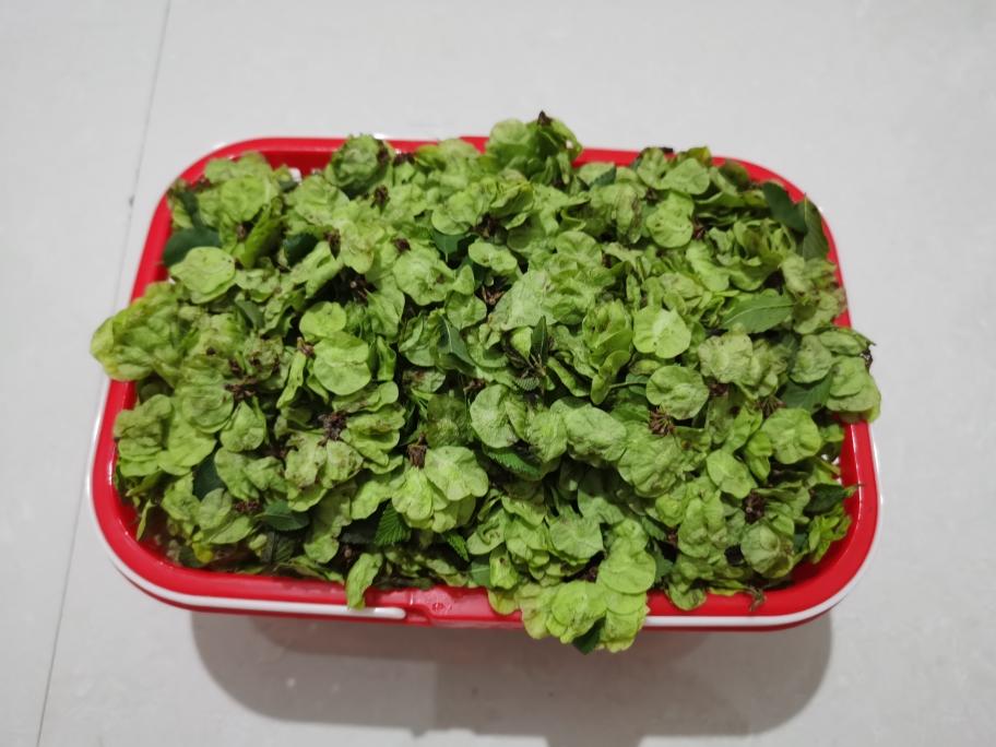 好吃不长胖的榆钱窝窝的做法