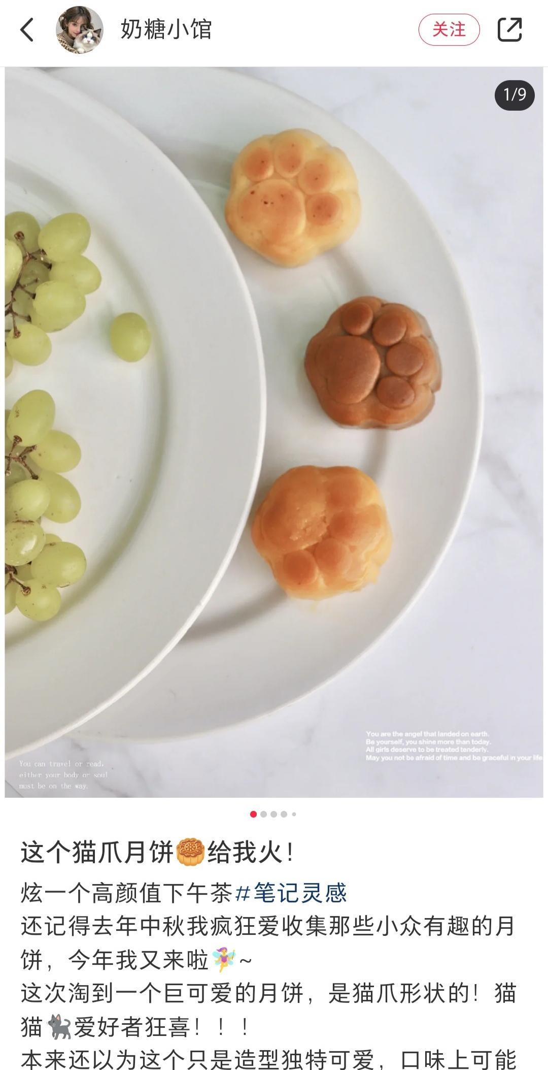 336 猫爪月饼模具爪爪图案狗爪造型熊掌形状🐾