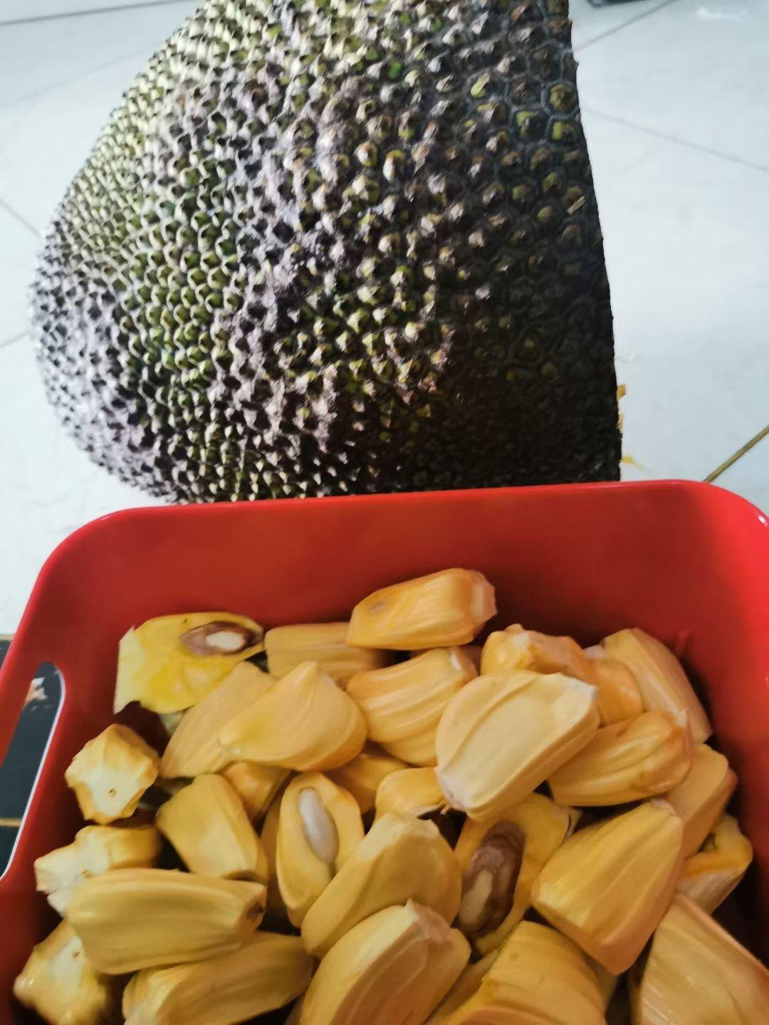 史上最快剥菠萝蜜的方法（自认为哈哈哈）