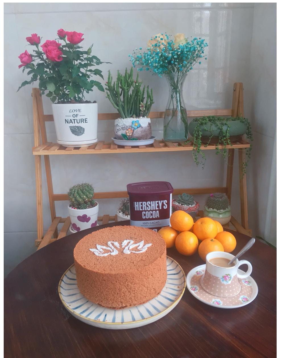 八寸戚风的成长记录